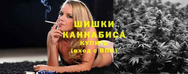 трава Краснослободск